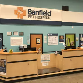 Bild von Banfield Pet Hospital