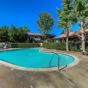 Sparkling Pool and Sundeck