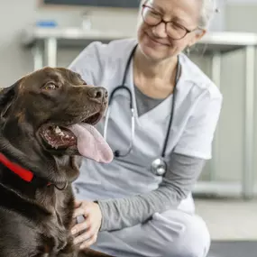 Bild von Banfield Pet Hospital