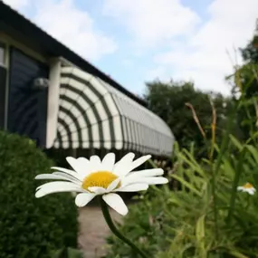 Jansen Zonwering Rijssen JZR