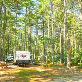 Bild von Pine Acres Campground