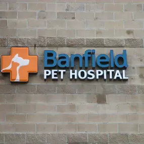 Banfield Pet Hospital - Lansing