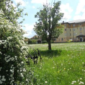 Bild von SeniorCentrum Skuteč