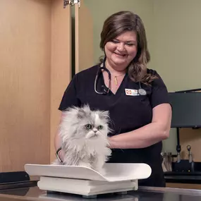 Bild von Banfield Pet Hospital