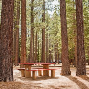 Bild von Tahoe Valley Campground