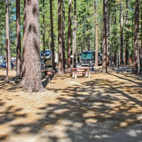 Bild von Tahoe Valley Campground