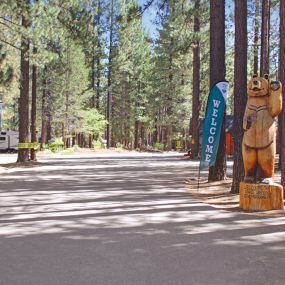 Bild von Tahoe Valley Campground