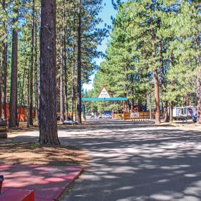 Bild von Tahoe Valley Campground