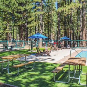 Bild von Tahoe Valley Campground