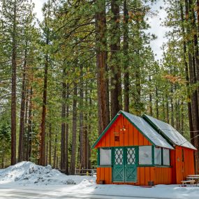 Bild von Tahoe Valley Campground