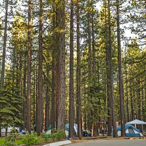 Bild von Tahoe Valley Campground