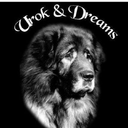 Logo van Hondenpension Urok en Dreams