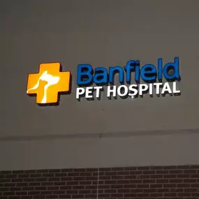 Banfield Pet Hospital® - Hamilton