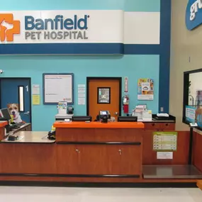 Bild von Banfield Pet Hospital