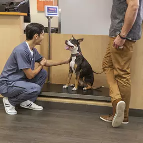 Bild von Banfield Pet Hospital