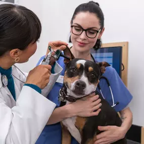 Bild von Banfield Pet Hospital