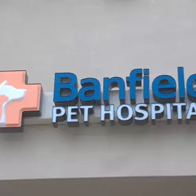 Banfield Pet Hospital® - Fort Wayne