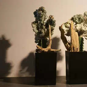 Teunis Veenema bloem sier kunst