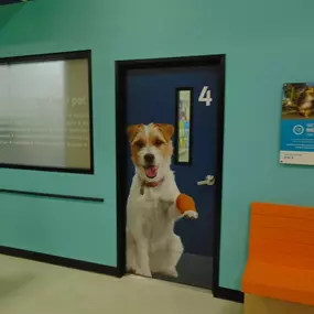 Bild von Banfield Pet Hospital