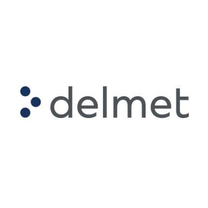 Logo von Delmet