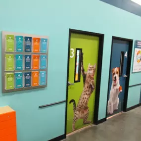 Bild von Banfield Pet Hospital