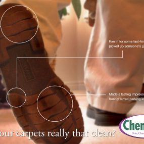 How clean are your carpets?