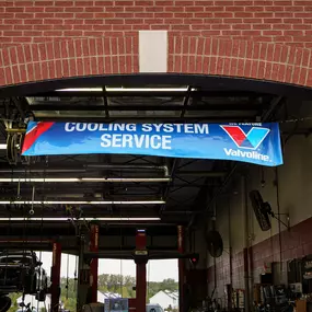 Bild von Tire Discounters