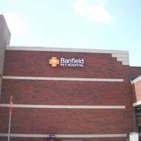 Banfield Pet Hospital® - Largo