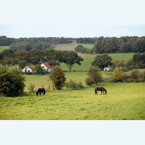 Bild von Op de Horst Vakantiehuisjes