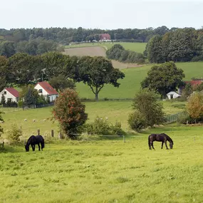 Bild von Op de Horst Vakantiehuisjes