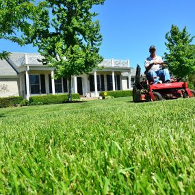 Keep your lawn healthy.