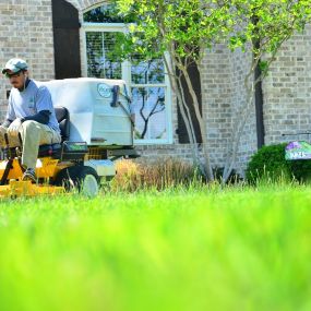 Hire a lawn care professional