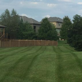 Our Customers love the lawn striping!