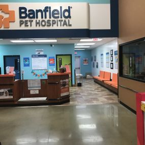 Bild von Banfield Pet Hospital