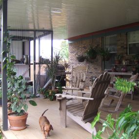 New Stained Deck with Greenhouse and Patio Cover