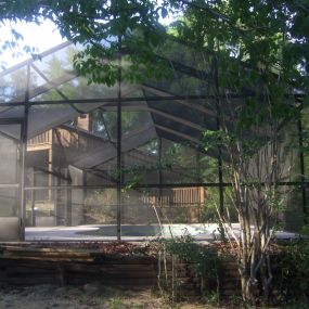 Pool Screen Enclosure