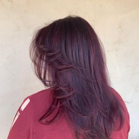 Full-All-Over-Color-Dark-Red-Layred-Midlength-Haircut-Albuquerque-Abq