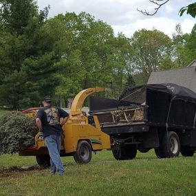 Bild von East TN Tree Service