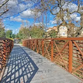 Outdoor Walkway and Path