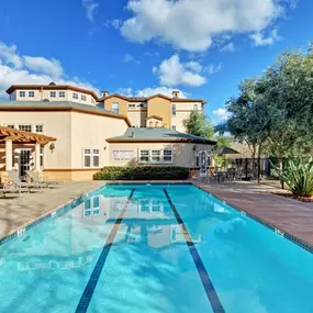 Sparkling Swimming Pool with Sundeck