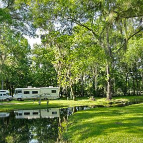 Bild von Clover Leaf Forest RV Resort