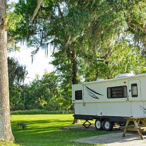 Bild von Clover Leaf Forest RV Resort