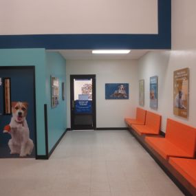 Bild von Banfield Pet Hospital