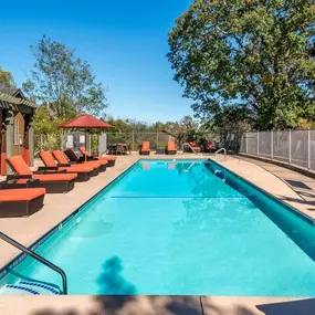 Sparkling, Heated Swimming Pool