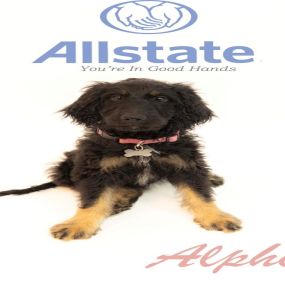 Bild von Matt Connatser: Allstate Insurance