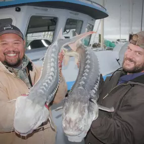 Bild von Flash Sport Fishing Charters
