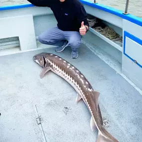 Bild von Flash Sport Fishing Charters