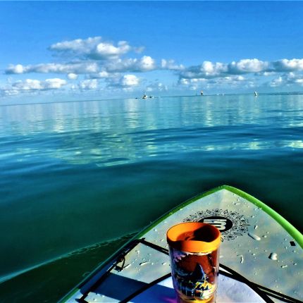 Logo from Key Largo Adventures - Islamorada's Premier Boat Tour Company