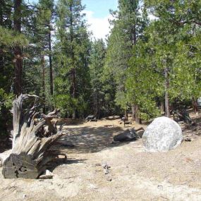 Bild von Thousand Trails Idyllwild