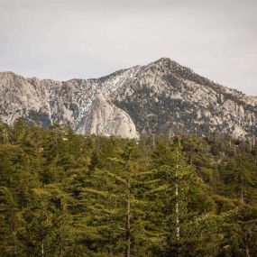 Bild von Thousand Trails Idyllwild